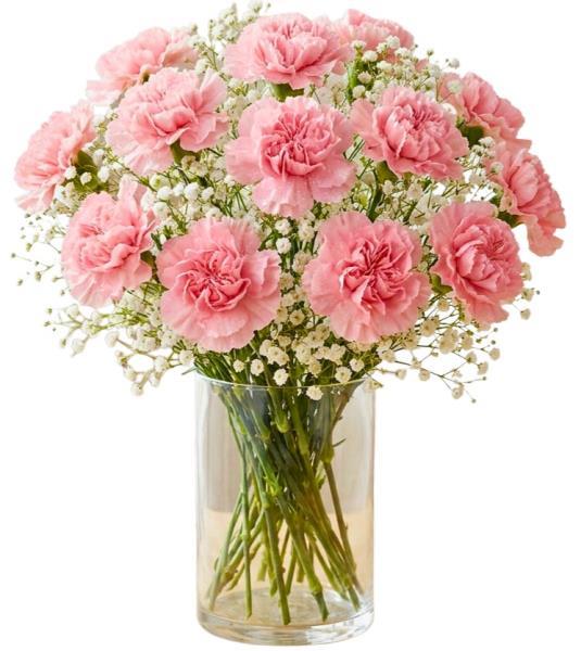 pink-lady-bouquet-pink-carnations