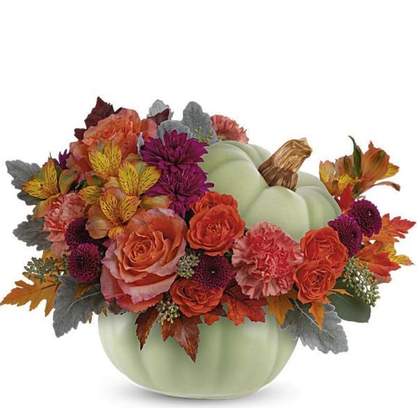 pumpkin-patch-arrangement