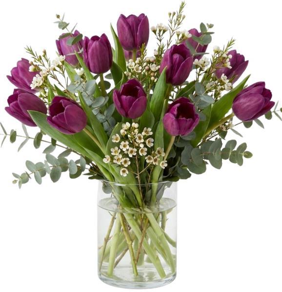 purple-tulips