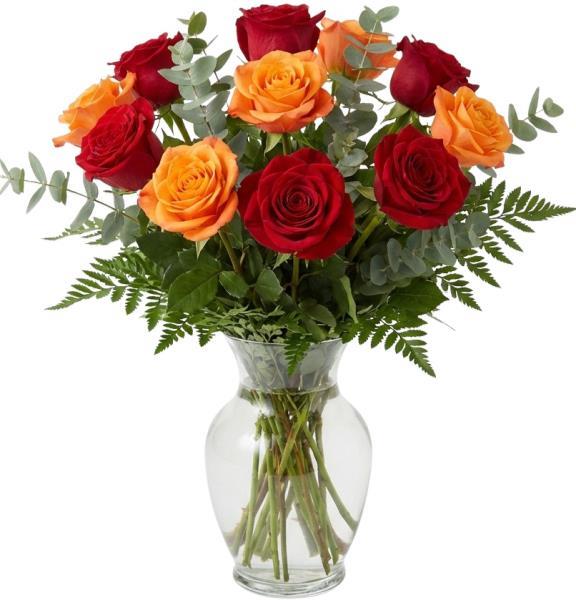 red-and-orange-roses