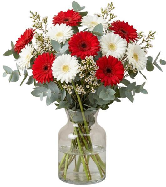 red-and-white-gerberas