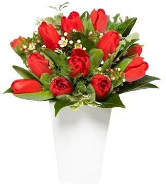red-tulip-bouquet