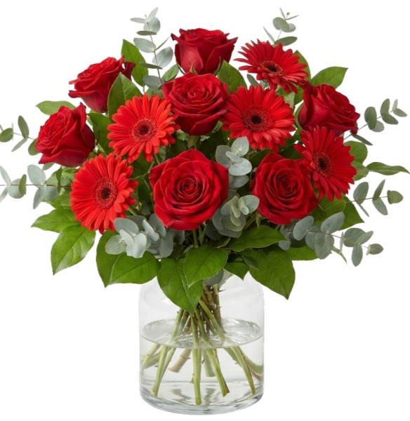 red-velvet-bouquet-red-roses-and-red-gerberas