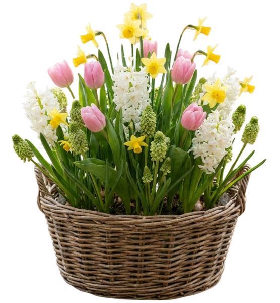 spring-garden