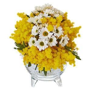 sunburst-bouquet-yellow-mimosa-white-daisies