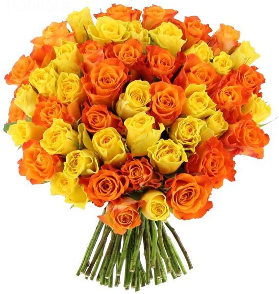 warmth-yellow-orange-roses