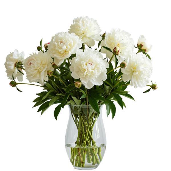 white-peonies