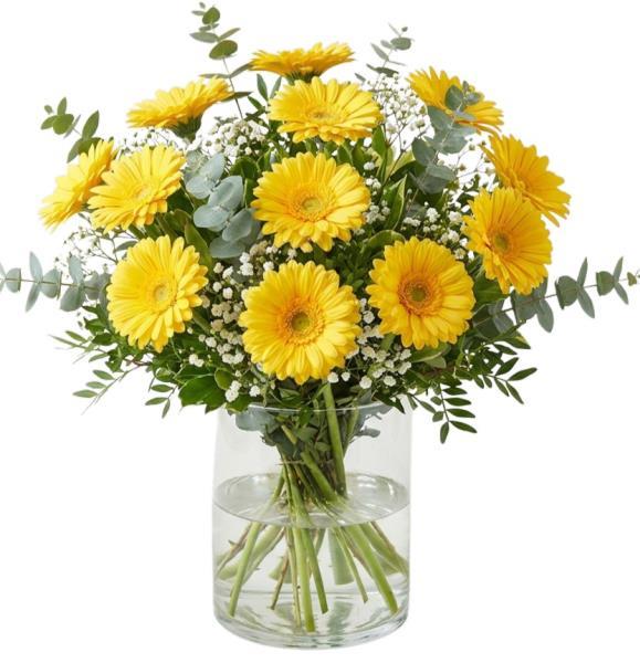 yellow-gerberas