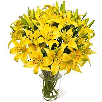 yellow-liliums